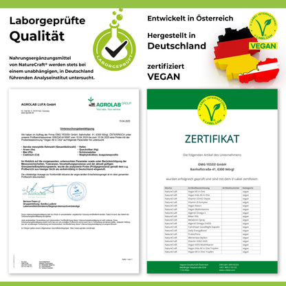 Vegan All-in-One Tropfen - Vitamin B12+B2+B6+B9 Folsäure + Zink + Eisen + Selen + Natrium + Kalium + Jod - Komplex mit natürlichem Tropical Fruchtgeschmack (20ml = ca. 4 Monats-Vorrat)